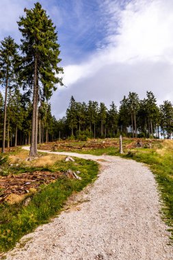 Feldberg 'deki Hochtaunus' ta güzel bir yürüyüş, güzel bir yaz günü, Hesse - Almanya