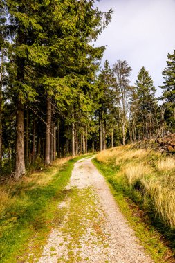 Feldberg 'deki Hochtaunus' ta güzel bir yürüyüş, güzel bir yaz günü, Hesse - Almanya