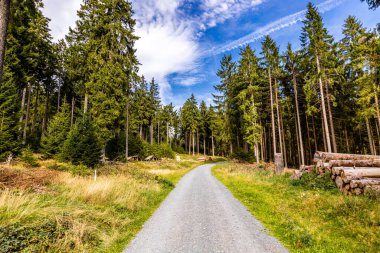 Feldberg 'deki Hochtaunus' ta güzel bir yürüyüş, güzel bir yaz günü, Hesse - Almanya