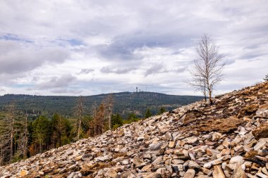 Feldberg 'deki Hochtaunus' ta güzel bir yürüyüş, güzel bir yaz günü, Hesse - Almanya