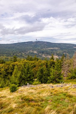 Feldberg 'deki Hochtaunus' ta güzel bir yürüyüş, güzel bir yaz günü, Hesse - Almanya