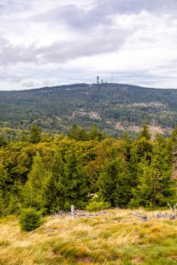 Feldberg 'deki Hochtaunus' ta güzel bir yürüyüş, güzel bir yaz günü, Hesse - Almanya