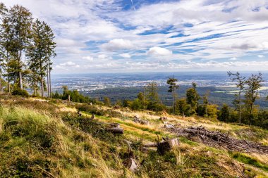 Feldberg 'deki Hochtaunus' ta güzel bir yürüyüş, güzel bir yaz günü, Hesse - Almanya