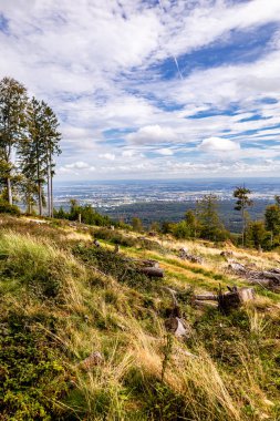 Feldberg 'deki Hochtaunus' ta güzel bir yürüyüş, güzel bir yaz günü, Hesse - Almanya