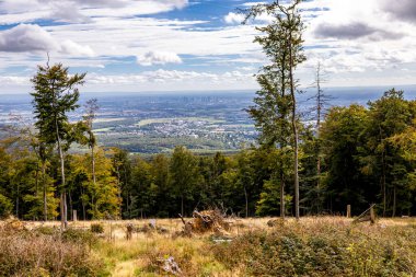Feldberg 'deki Hochtaunus' ta güzel bir yürüyüş, güzel bir yaz günü, Hesse - Almanya