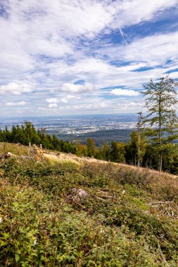 Feldberg 'deki Hochtaunus' ta güzel bir yürüyüş, güzel bir yaz günü, Hesse - Almanya