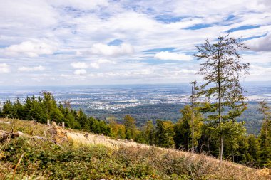 Feldberg 'deki Hochtaunus' ta güzel bir yürüyüş, güzel bir yaz günü, Hesse - Almanya