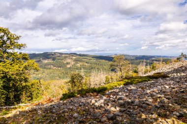 Feldberg 'deki Hochtaunus' ta güzel bir yürüyüş, güzel bir yaz günü, Hesse - Almanya