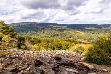 Feldberg 'deki Hochtaunus' ta güzel bir yürüyüş, güzel bir yaz günü, Hesse - Almanya