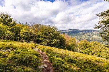 Feldberg 'deki Hochtaunus' ta güzel bir yürüyüş, güzel bir yaz günü, Hesse - Almanya