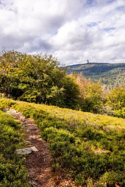 Feldberg 'deki Hochtaunus' ta güzel bir yürüyüş, güzel bir yaz günü, Hesse - Almanya