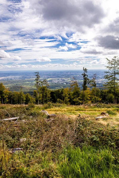 Feldberg 'deki Hochtaunus' ta güzel bir yürüyüş, güzel bir yaz günü, Hesse - Almanya