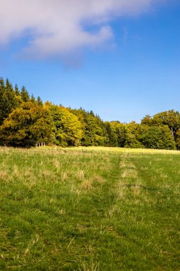 Thüringen 'in güneyinde Meiningen yakınlarındaki Hohe Geba civarında güzel bir yürüyüş.