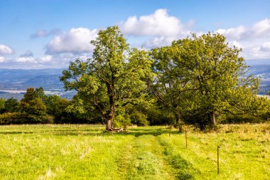 Thüringen 'in güneyinde Meiningen yakınlarındaki Hohe Geba civarında güzel bir yürüyüş.