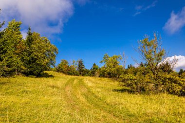 Thüringen 'in güneyinde Meiningen yakınlarındaki Hohe Geba civarında güzel bir yürüyüş.