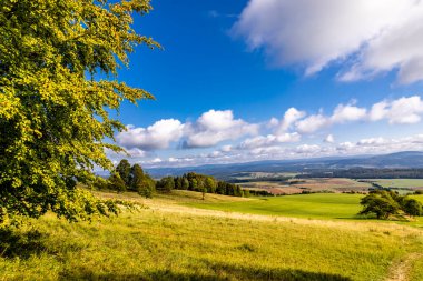 Thüringen 'in güneyinde Meiningen yakınlarındaki Hohe Geba civarında güzel bir yürüyüş.