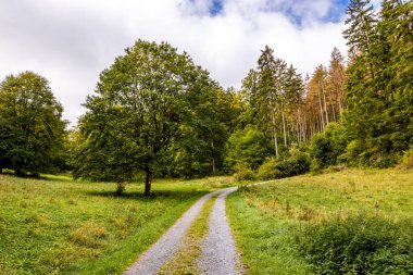 Thüringen 'in güneyinde Meiningen yakınlarındaki Hohe Geba civarında güzel bir yürüyüş.