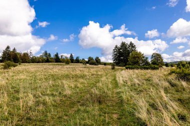 Thüringen 'in güneyinde Meiningen yakınlarındaki Hohe Geba civarında güzel bir yürüyüş.
