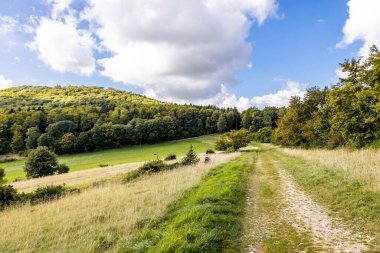 Thüringen 'in güneyinde Meiningen yakınlarındaki Hohe Geba civarında güzel bir yürüyüş.