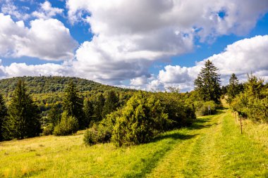 Thüringen 'in güneyinde Meiningen yakınlarındaki Hohe Geba civarında güzel bir yürüyüş.