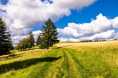 Thüringen 'in güneyinde Meiningen yakınlarındaki Hohe Geba civarında güzel bir yürüyüş.