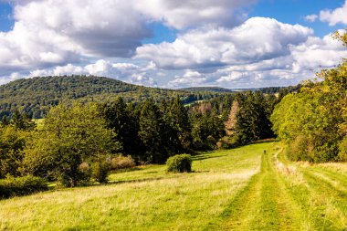 Thüringen 'in güneyinde Meiningen yakınlarındaki Hohe Geba civarında güzel bir yürüyüş.