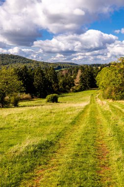 Thüringen 'in güneyinde Meiningen yakınlarındaki Hohe Geba civarında güzel bir yürüyüş.