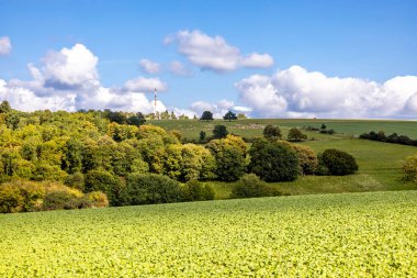 Thüringen 'in güneyinde Meiningen yakınlarındaki Hohe Geba civarında güzel bir yürüyüş.