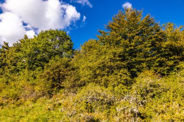 Thüringen 'in güneyinde Meiningen yakınlarındaki Hohe Geba civarında güzel bir yürüyüş.