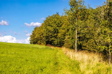 Thüringen 'in güneyinde Meiningen yakınlarındaki Hohe Geba civarında güzel bir yürüyüş.