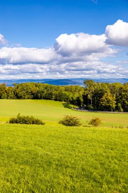 Thüringen 'in güneyinde Meiningen yakınlarındaki Hohe Geba civarında güzel bir yürüyüş.
