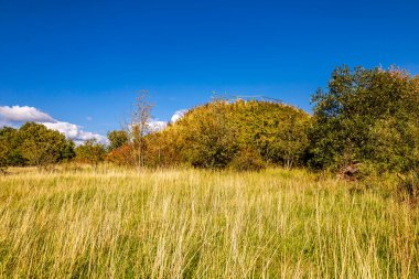 Thüringen 'in güneyinde Meiningen yakınlarındaki Hohe Geba civarında güzel bir yürüyüş.