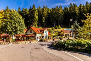 Thüringen Ormanı 'nda Zella-Mehlis ve Oberhof arasında Sternengrund' da güzel bir sonbahar yürüyüşü.