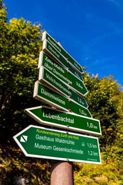 Thüringen Ormanı 'nda Zella-Mehlis ve Oberhof arasında Sternengrund' da güzel bir sonbahar yürüyüşü.