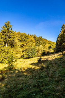 Thüringen Ormanı 'nda Zella-Mehlis ve Oberhof arasında Sternengrund' da güzel bir sonbahar yürüyüşü.
