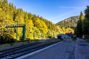 Thüringen Ormanı 'nda Zella-Mehlis ve Oberhof arasında Sternengrund' da güzel bir sonbahar yürüyüşü.