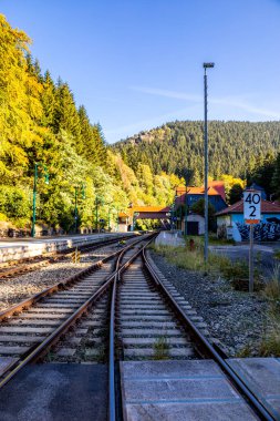 Thüringen Ormanı 'nda Zella-Mehlis ve Oberhof arasında Sternengrund' da güzel bir sonbahar yürüyüşü.