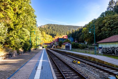 Thüringen Ormanı 'nda Zella-Mehlis ve Oberhof arasında Sternengrund' da güzel bir sonbahar yürüyüşü.