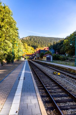 Thüringen Ormanı 'nda Zella-Mehlis ve Oberhof arasında Sternengrund' da güzel bir sonbahar yürüyüşü.