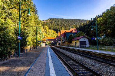 Thüringen Ormanı 'nda Zella-Mehlis ve Oberhof arasında Sternengrund' da güzel bir sonbahar yürüyüşü.