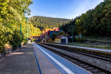 Thüringen Ormanı 'nda Zella-Mehlis ve Oberhof arasında Sternengrund' da güzel bir sonbahar yürüyüşü.