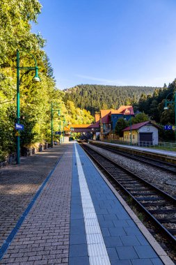 Thüringen Ormanı 'nda Zella-Mehlis ve Oberhof arasında Sternengrund' da güzel bir sonbahar yürüyüşü.