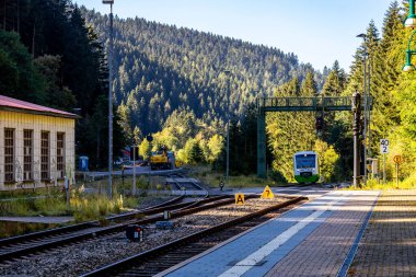 Thüringen Ormanı 'nda Zella-Mehlis ve Oberhof arasında Sternengrund' da güzel bir sonbahar yürüyüşü.