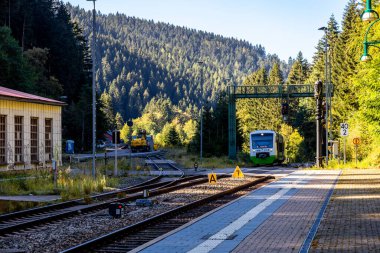 Thüringen Ormanı 'nda Zella-Mehlis ve Oberhof arasında Sternengrund' da güzel bir sonbahar yürüyüşü.