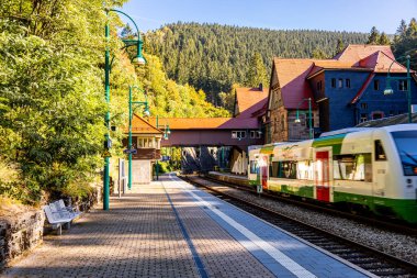 Thüringen Ormanı 'nda Zella-Mehlis ve Oberhof arasında Sternengrund' da güzel bir sonbahar yürüyüşü.