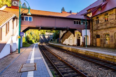 Thüringen Ormanı 'nda Zella-Mehlis ve Oberhof arasında Sternengrund' da güzel bir sonbahar yürüyüşü.