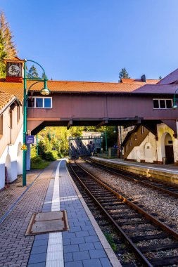 Thüringen Ormanı 'nda Zella-Mehlis ve Oberhof arasında Sternengrund' da güzel bir sonbahar yürüyüşü.