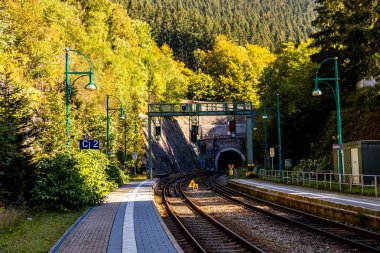 Thüringen Ormanı 'nda Zella-Mehlis ve Oberhof arasında Sternengrund' da güzel bir sonbahar yürüyüşü.