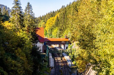 Thüringen Ormanı 'nda Zella-Mehlis ve Oberhof arasında Sternengrund' da güzel bir sonbahar yürüyüşü.