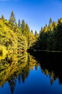 Thüringen Ormanı 'nda Zella-Mehlis ve Oberhof arasında Sternengrund' da güzel bir sonbahar yürüyüşü.